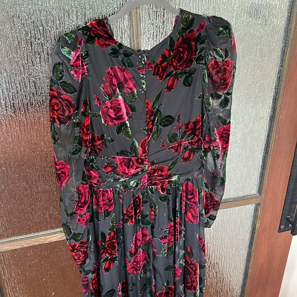 Rachel Parcell Burnout Velvet Dress size 4. - Picture 9 of 13